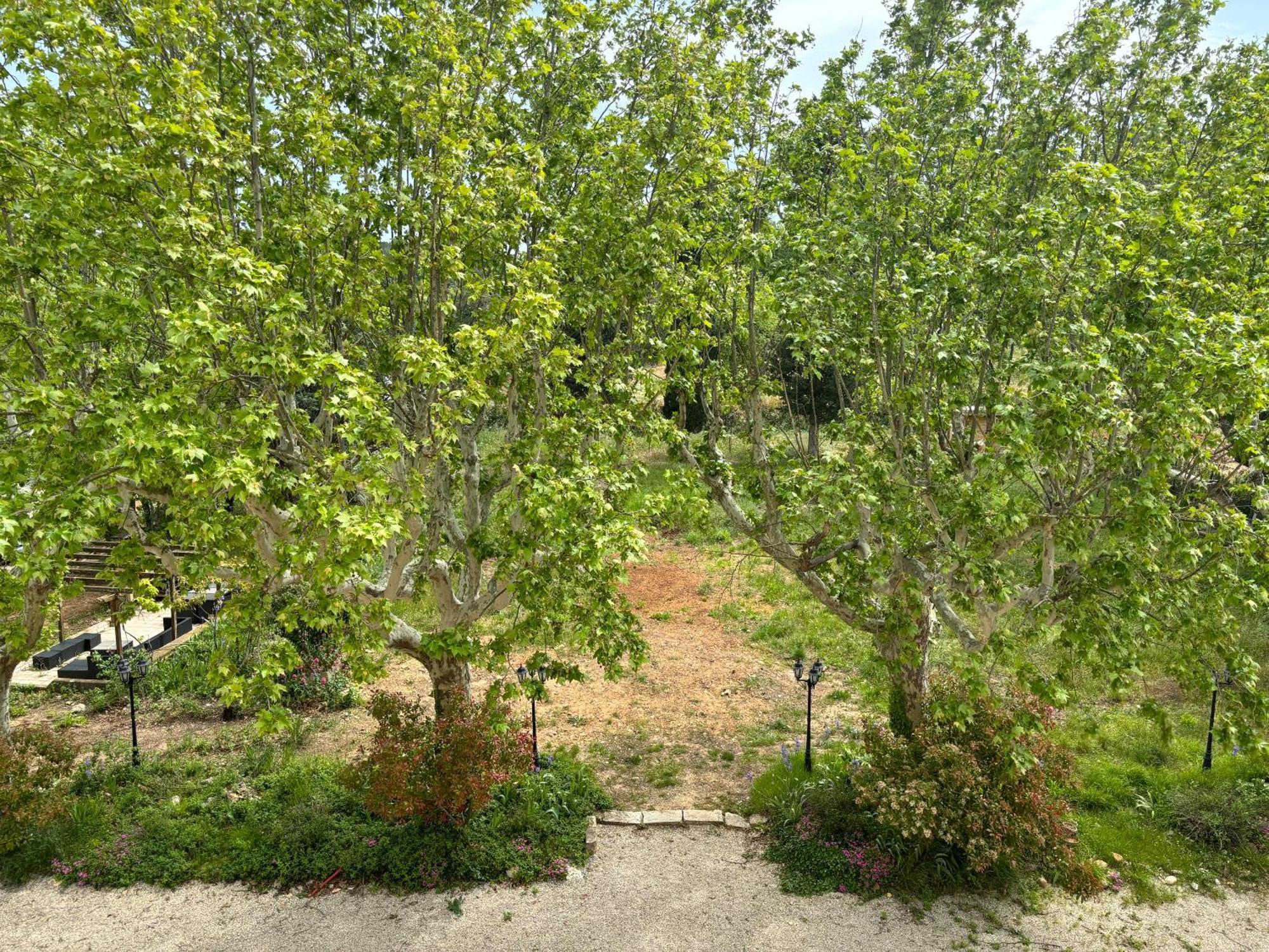 Appartement De Standing Dans Une Bastide Aixoise 엑상프로방스 외부 사진